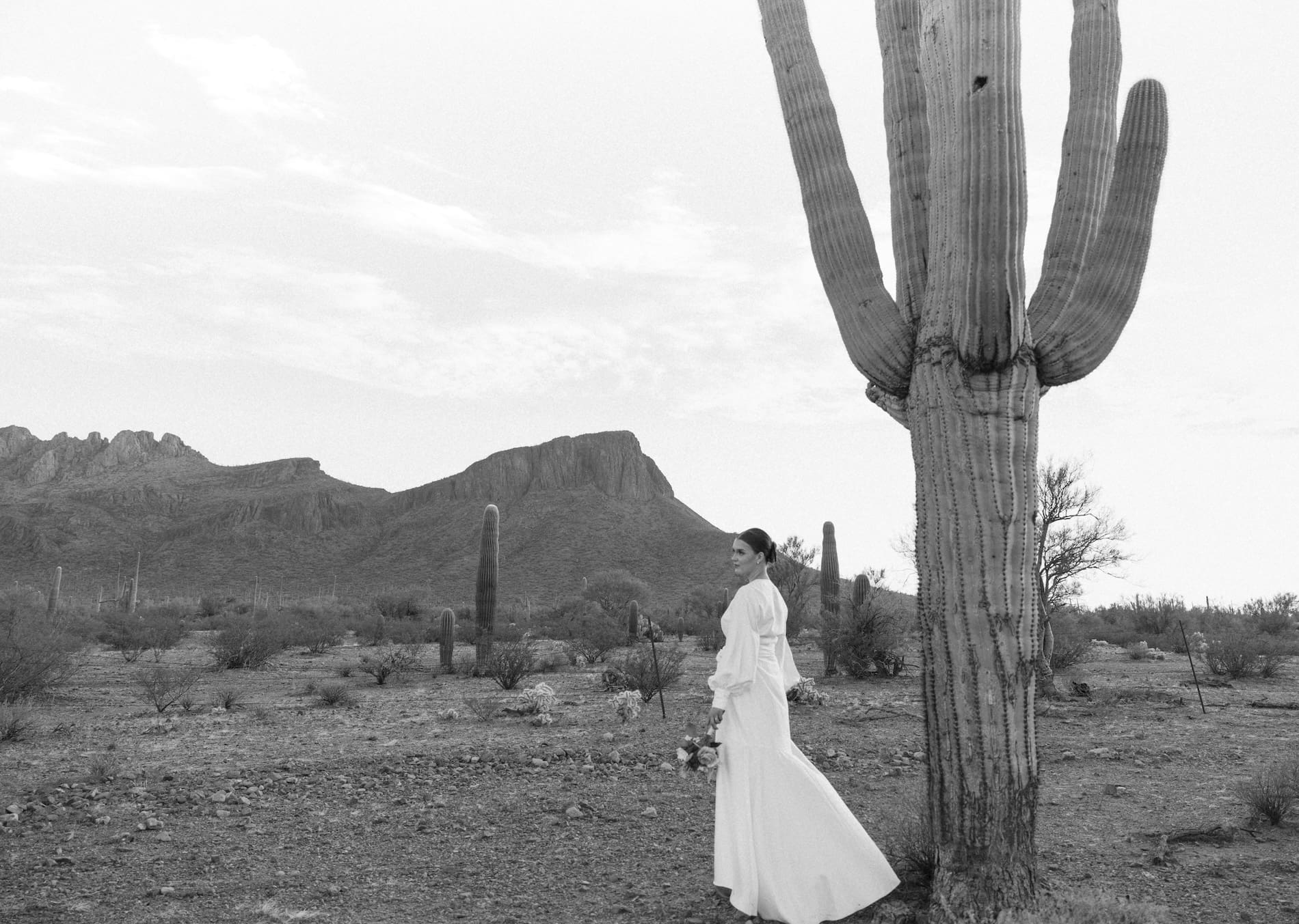 western-desert-elopement-with-horses-white-stallion-ranch-tucson-arizona
