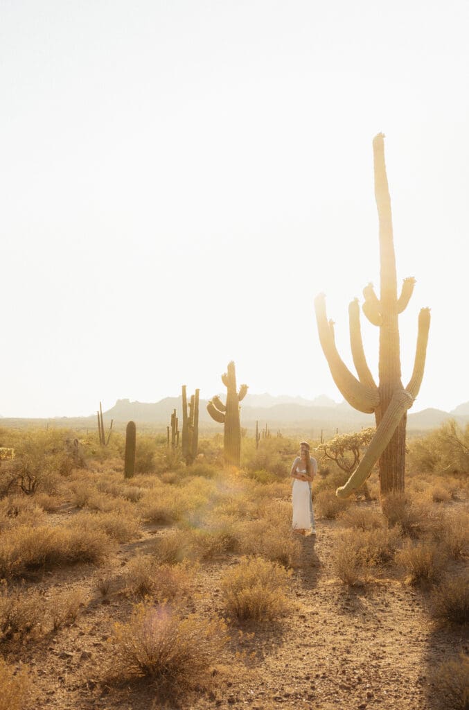 engagement-photos-of-couple-hugging-by-a-cactus
